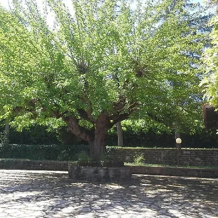 San Lorenzo Todi